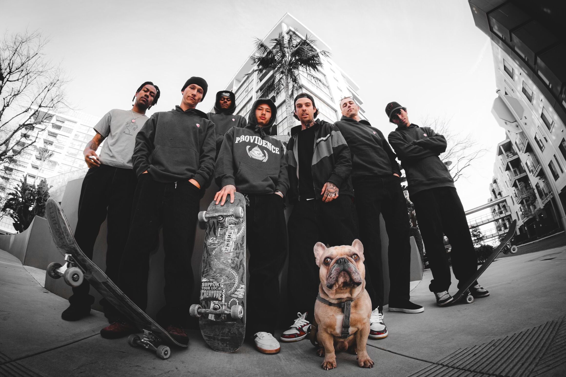 Providence Brand Team